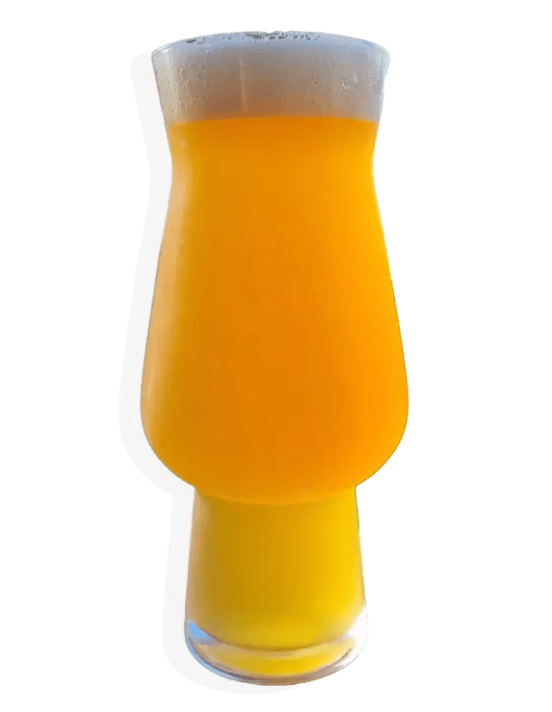 West Coast IPA Photo