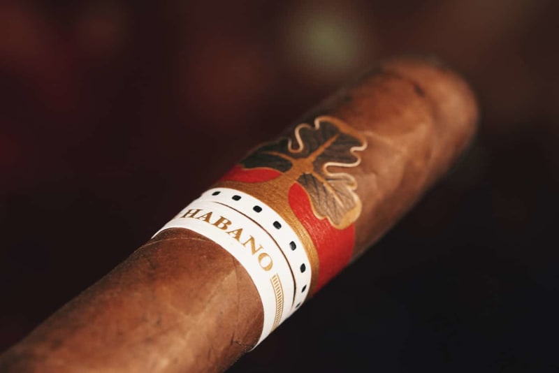 Coroneta Habano Earl Image