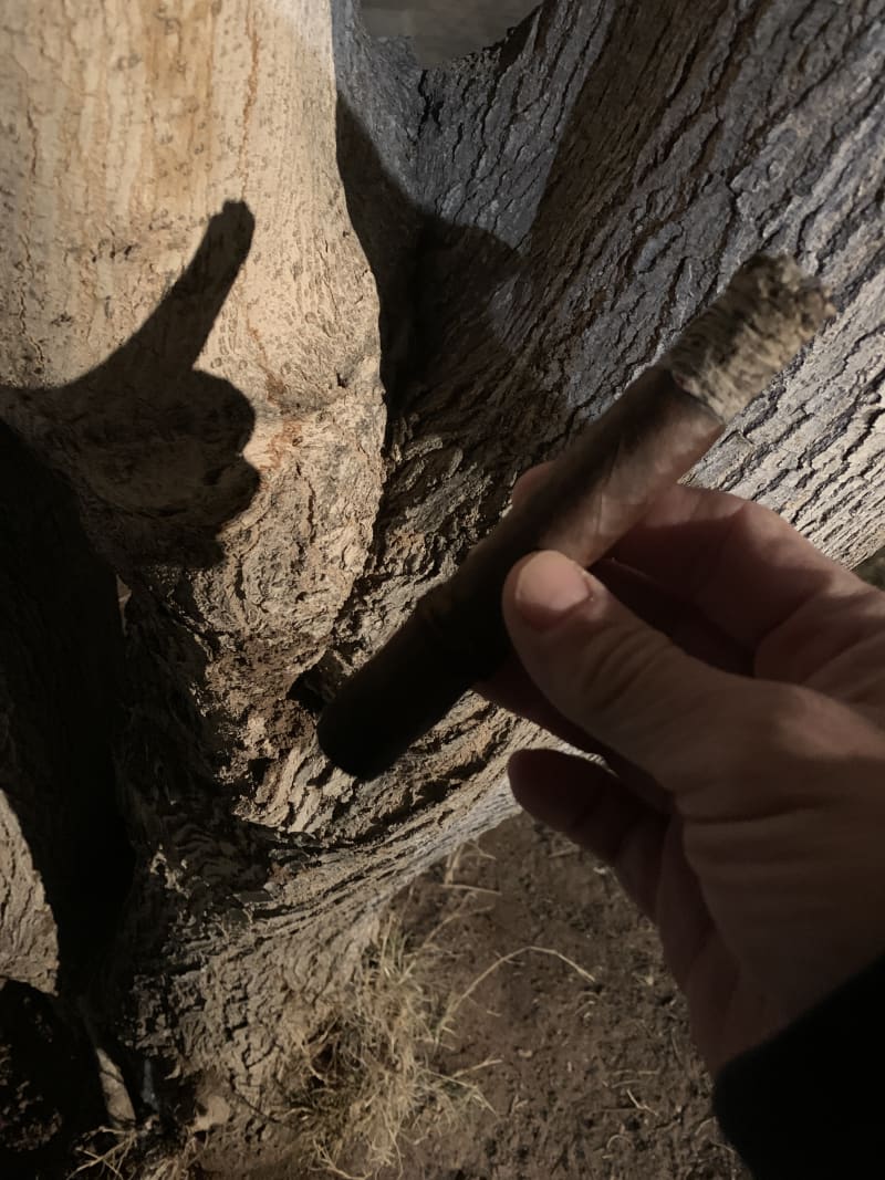 image v20