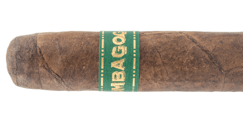 Dunbarton Tobacco & Trust Umbagog Bronzeback – Blind Cigar Review Image