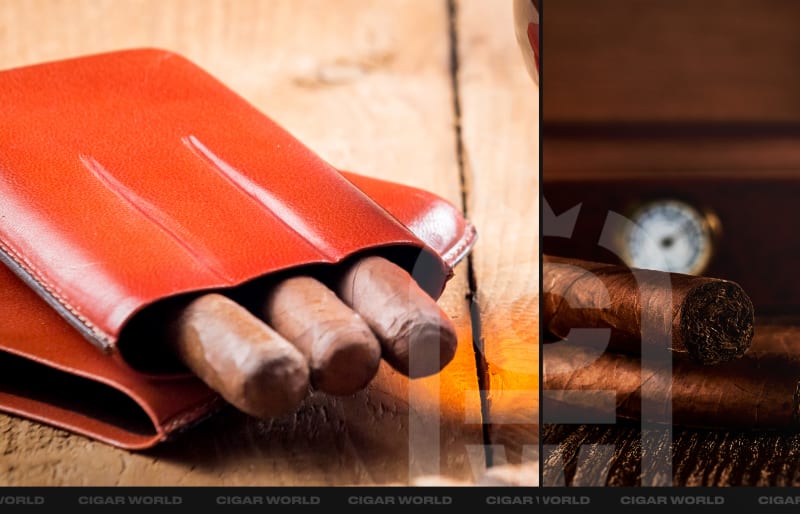 Best Humidors for Travel