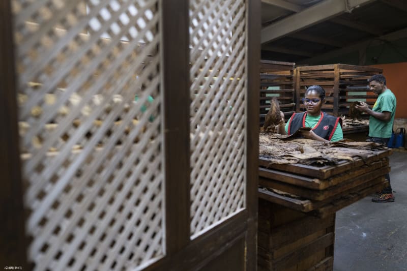 A Visit to Tabacalera A. Fuente: Pre-Industry Image