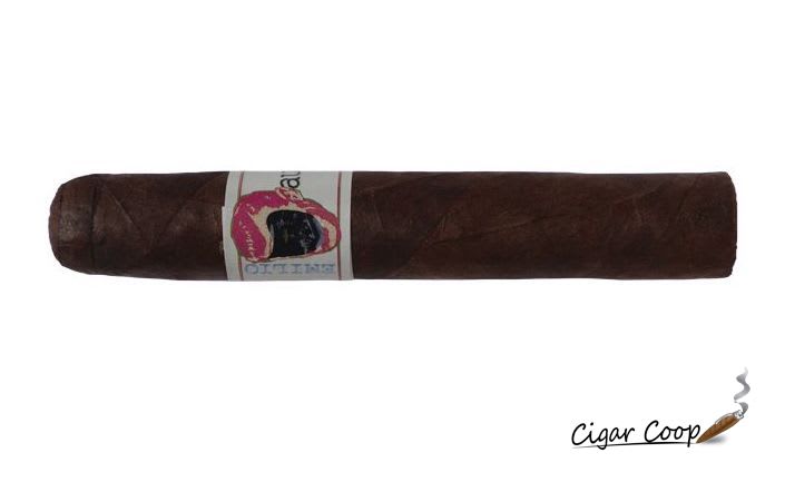 Cigar Review: Emilio Audiophile Robusto 2023 Image