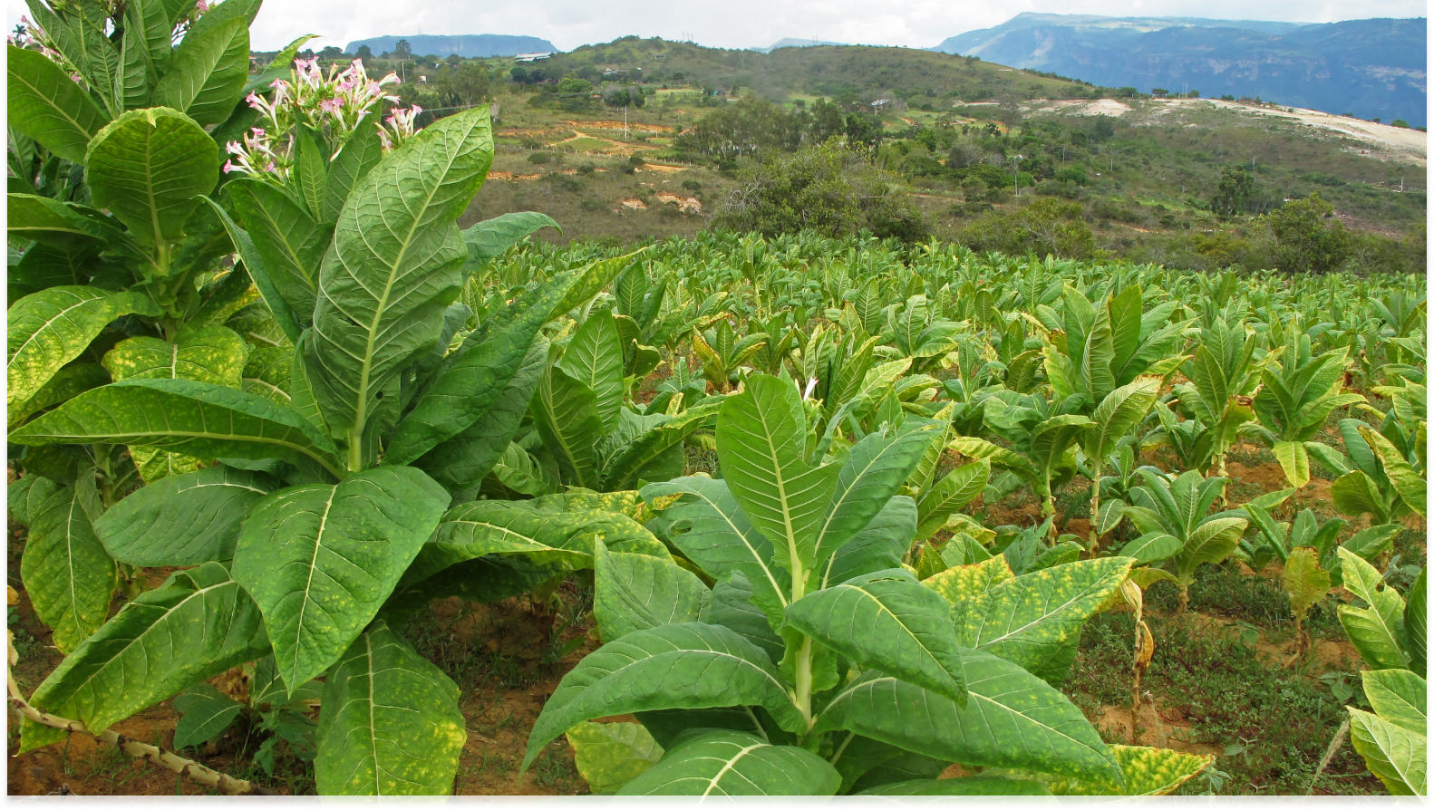 OUTPOST FIELD NOTES: COLOMBIA Featured Image
