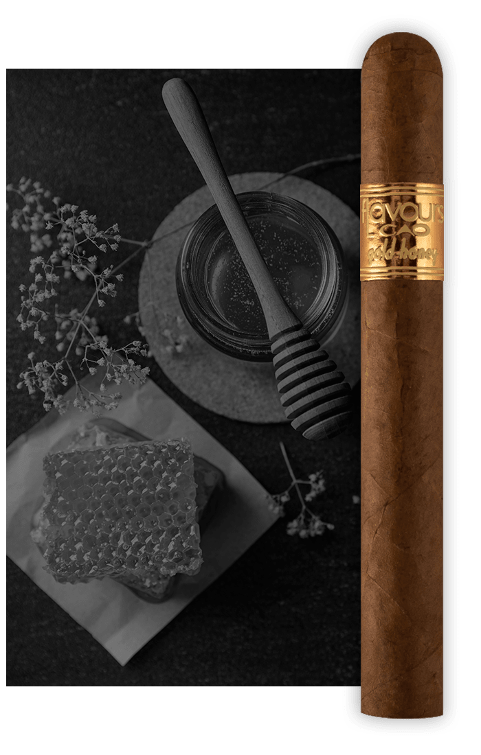 CAO Gold Honey Stick Image