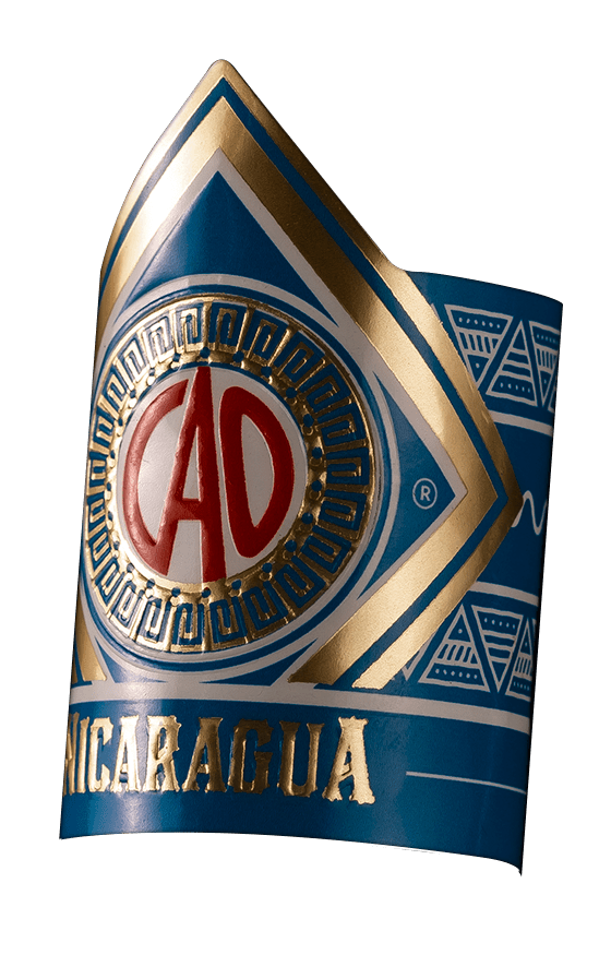 CAO Nicaragua Band Image