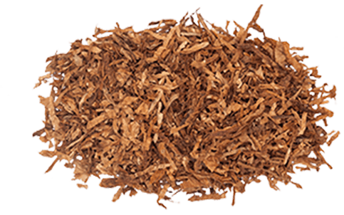 Burley Tobacco