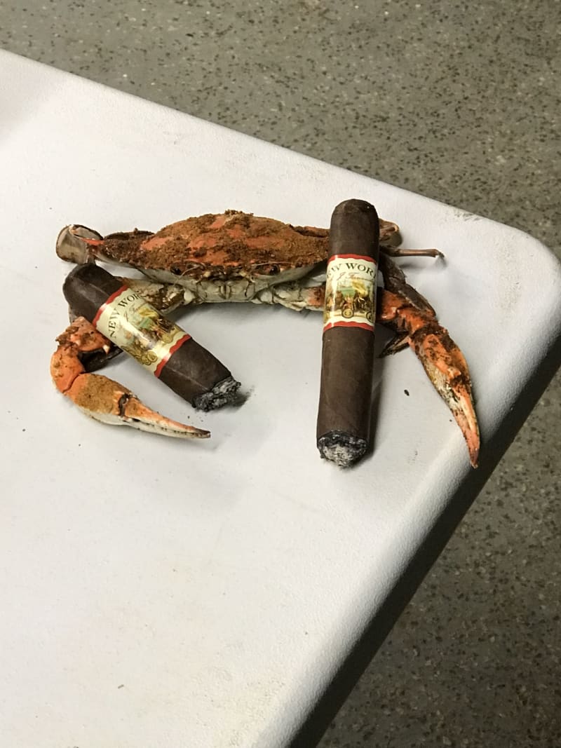 375DBB9B 5A43 4165 BB07 4C6C863B92DC