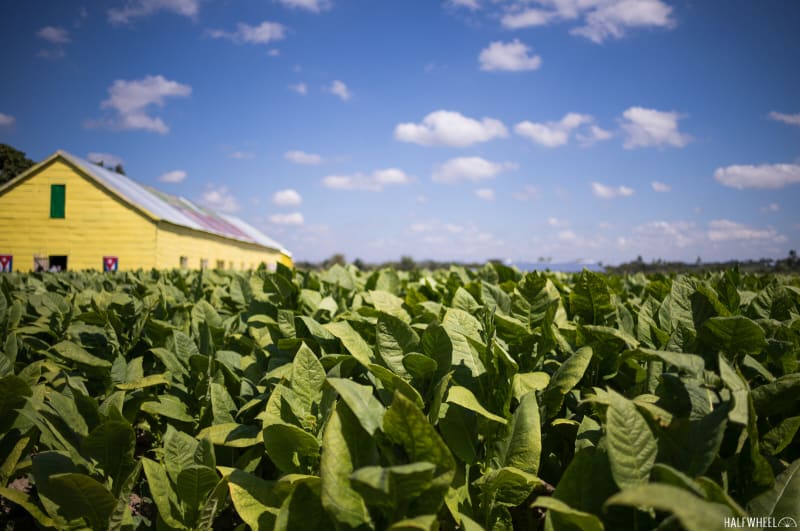 Festival del Habano XXIV: Day 2 Image