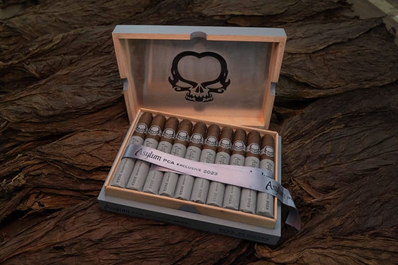 Asylum PCA 2023 Exclusive Ships Image