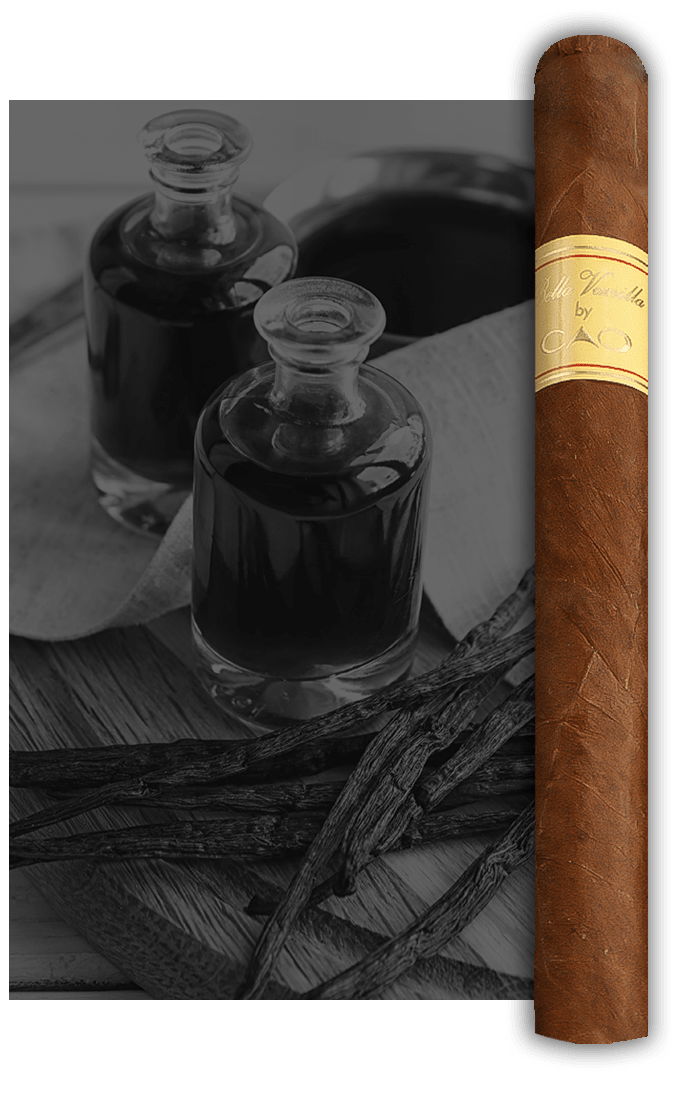 CAO Bella Vanilla Stick Image