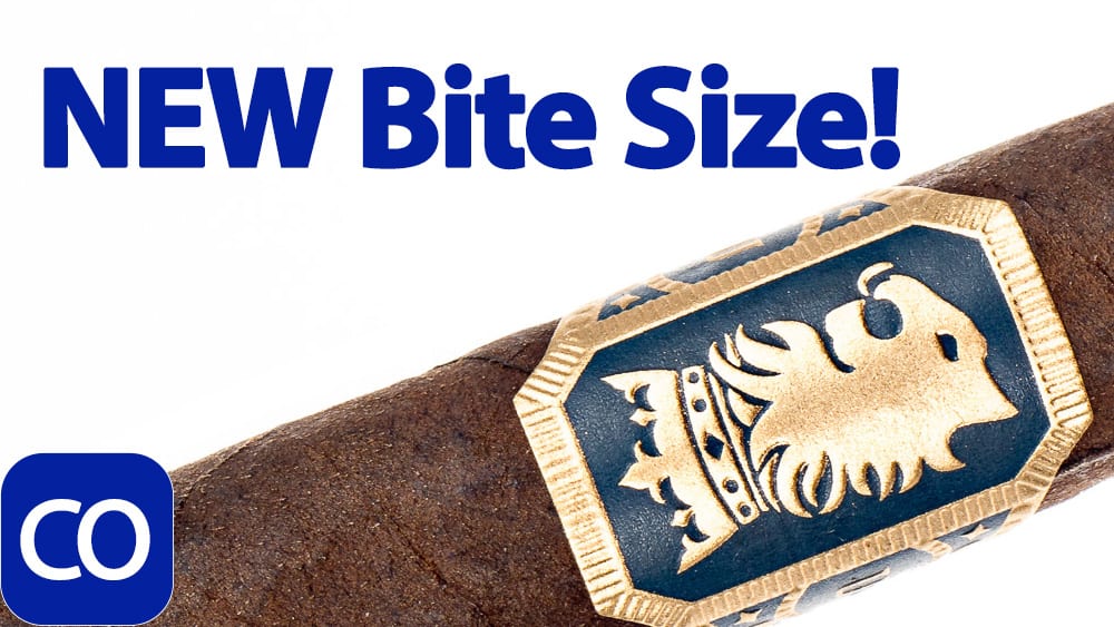 Drew Estate Undercrown Maduro Corona Pequeña Cigar Review Featured Image