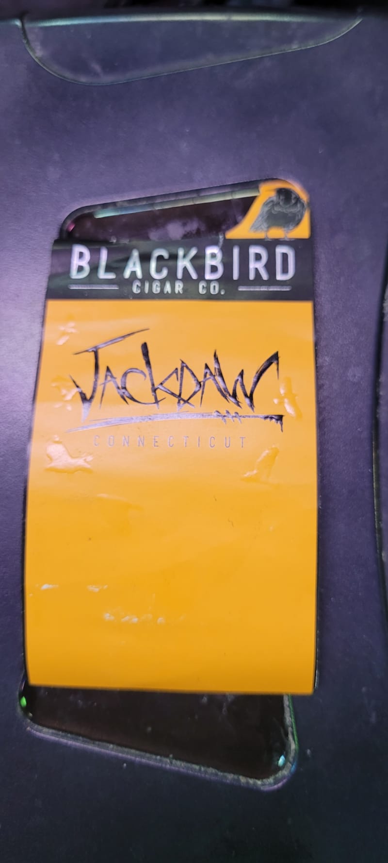 Blackbird Jackdaw full band (2)
