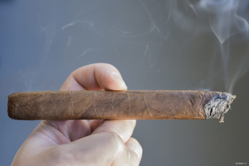 Muestra de Saka The Bewitched Image