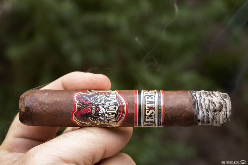 Viva La Vida Jester Image