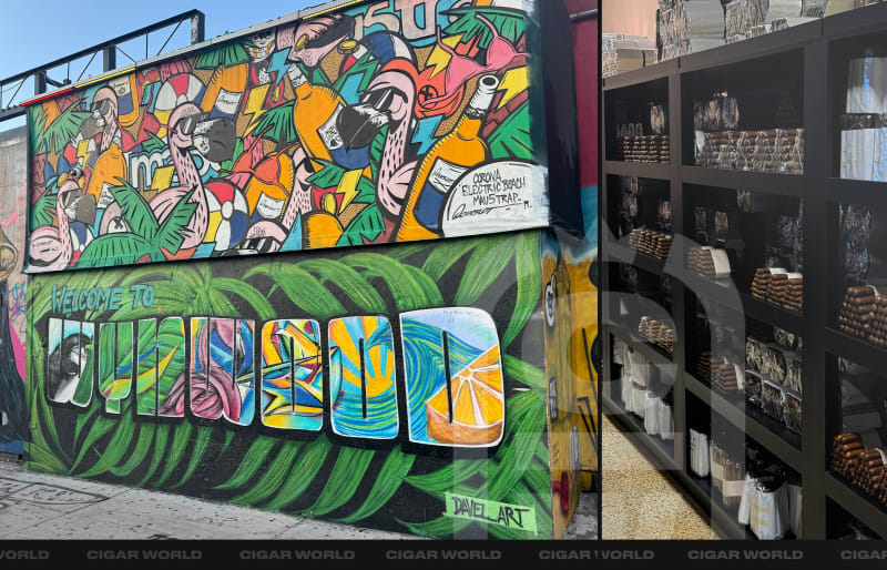 wynwood blog