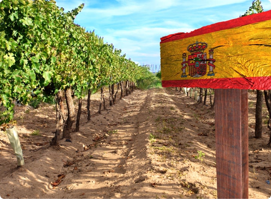Spanish Red Wine Cigar Pairing v2