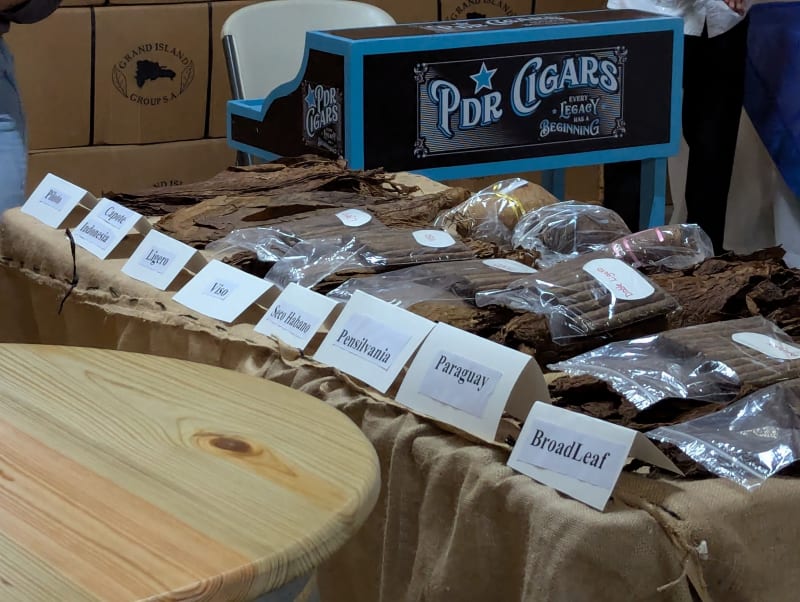 PXL 20260219 160511929