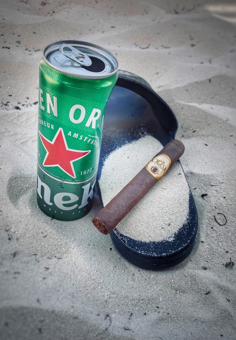 14E6D155 9337 4F02 AF6F 41C266B8E3B2 v2