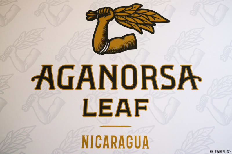 PCA 2023: AGANORSA Leaf Image