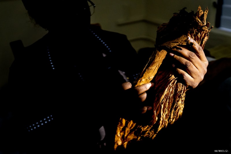 The Top 25 Cigars of 2024 Image