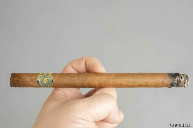 Daughters of the Wind Cremello Image