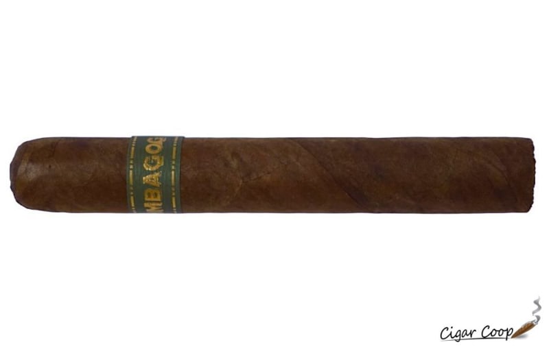 Umbagog Bronzeback by Dunbarton Tobacco & Trust | Cigar Review Image
