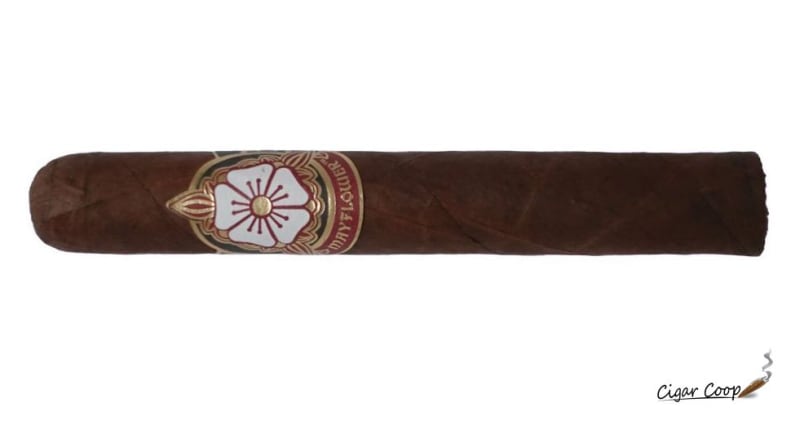 Mayflower Dusk Robusto | Cigar Review Image