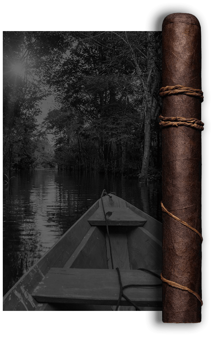 CAO Orellana Stick Image