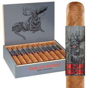 Chillin' Moose Box Image