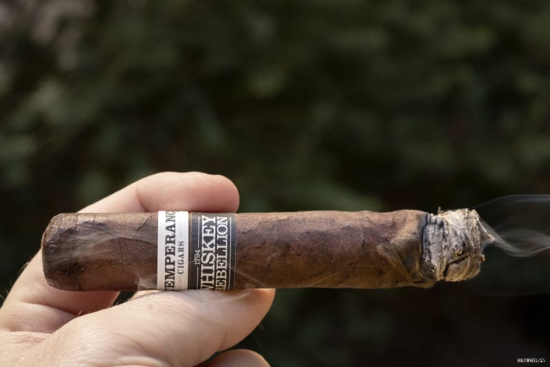 Intemperance Whiskey Rebellion 1794 Tarred & Feathered Image