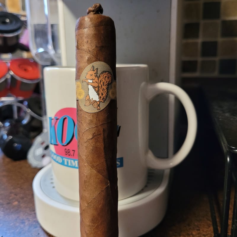 Caldwell Lost Found Blind Squirrel 2 v2