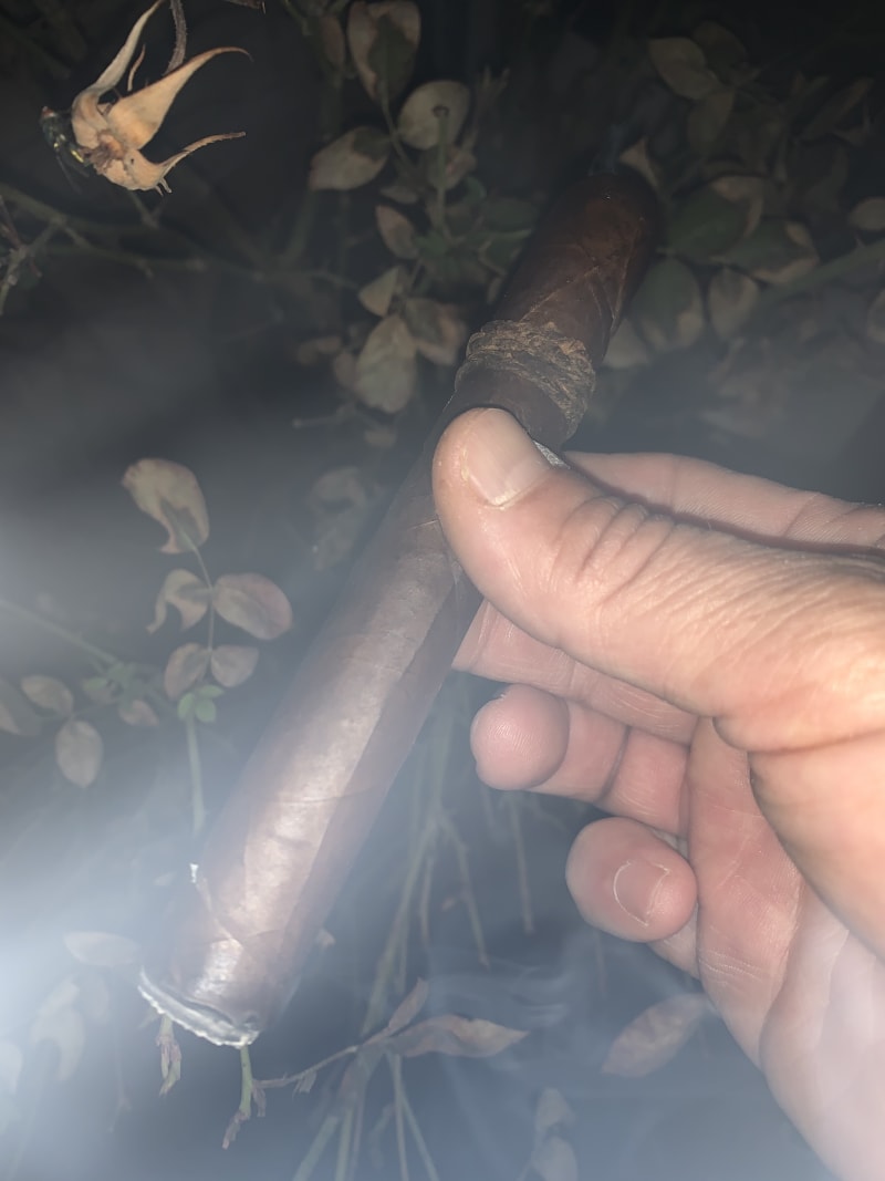 14749989 A29D 4133 BAE5 6E847FC687BE