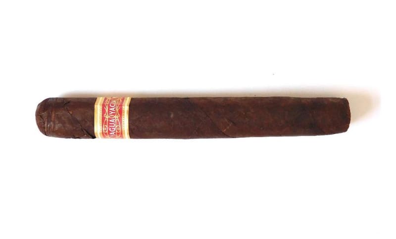 Agile Cigar Review: Yagua (2021) by J.C. Newman Cigar Company Image