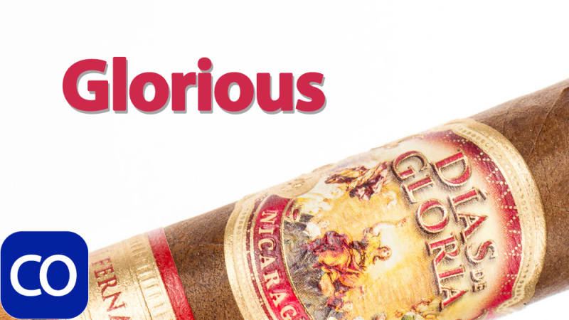AJ Fernandez Dias de Gloria Robusto Cigar Review Image