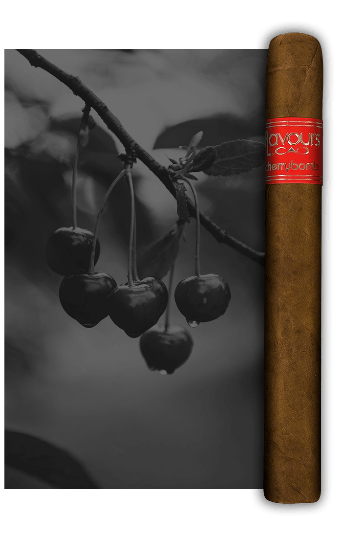 CAO Cherrybomb Stick Image