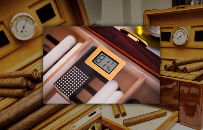 Humidor Blog 8.8.23