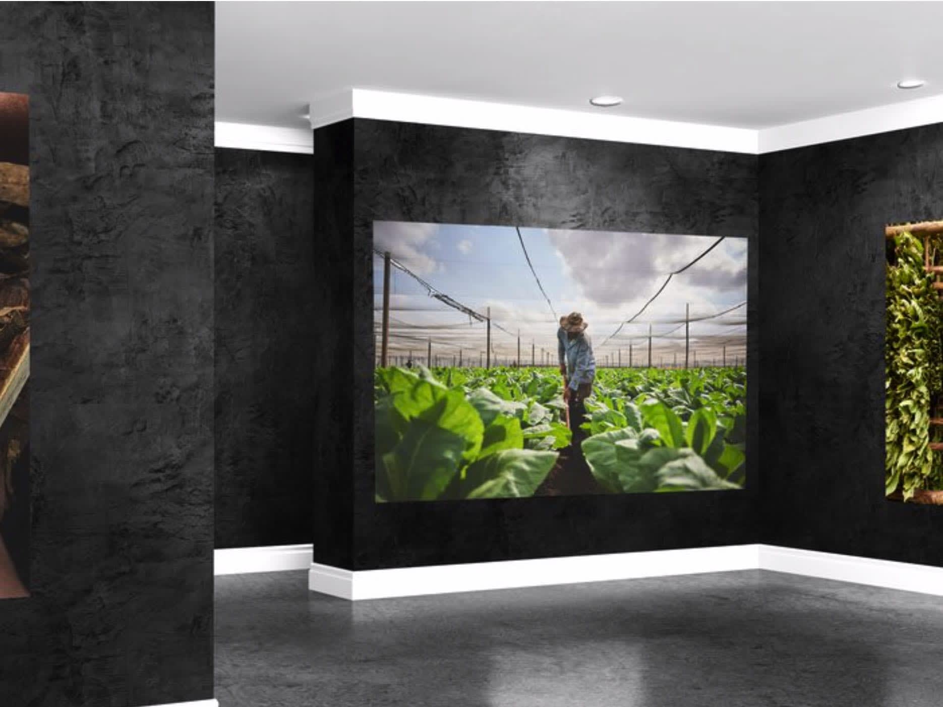 An Art Gallery Dedicated to Artistry of Cigars Featured Image