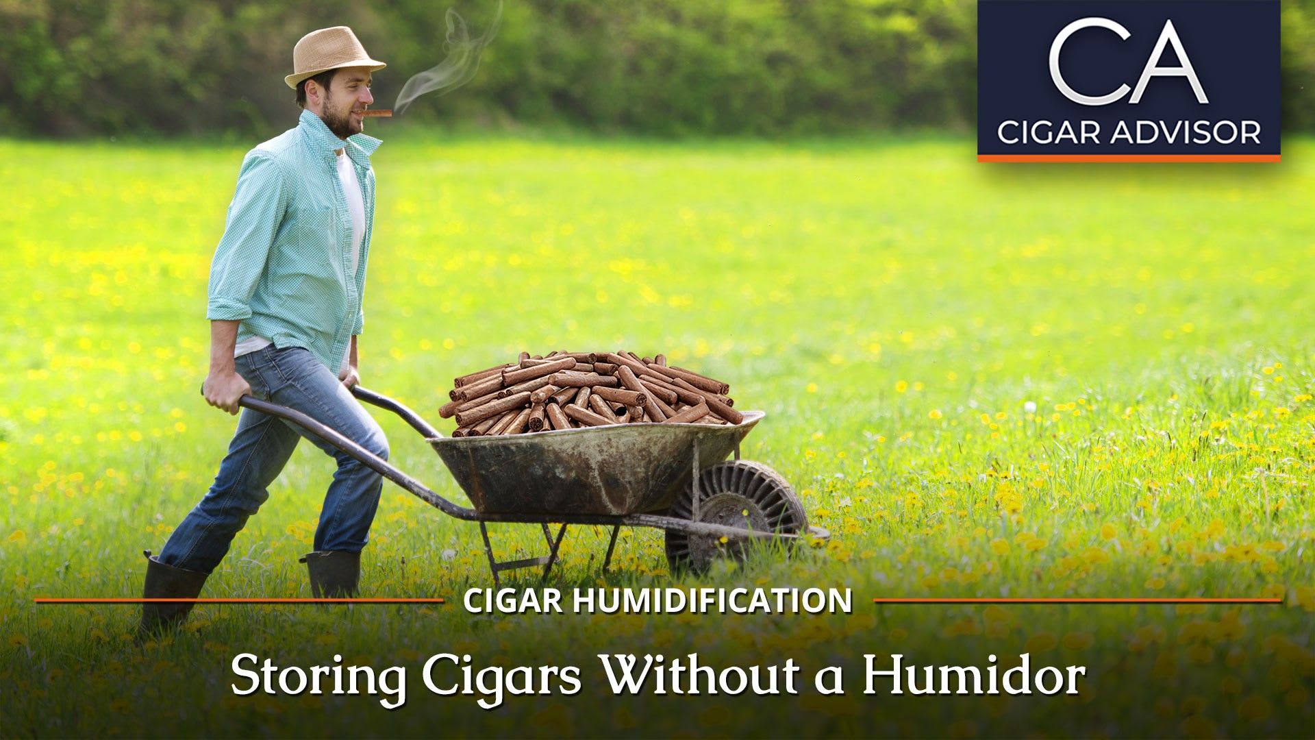 How to Store and Keep Cigars Fresh Without a Humidor Cigar World