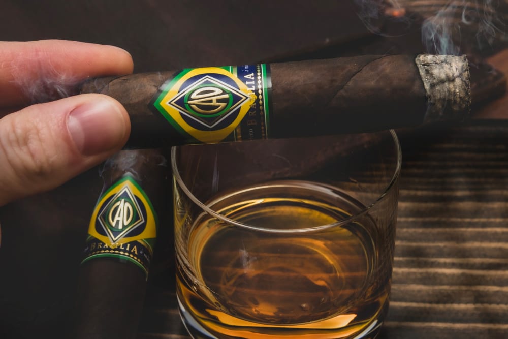 Brazilia Image 3