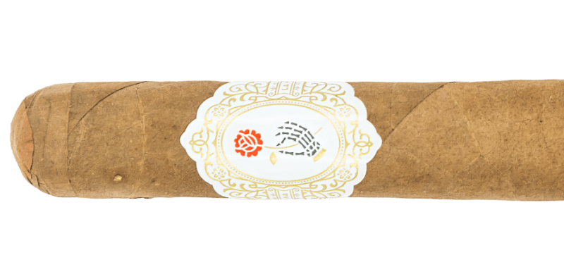 Dapper La Madrina Shade Toro – Blind Cigar Review Image