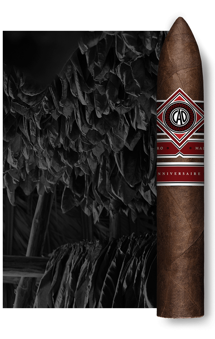 CAO Maduro Stick Image