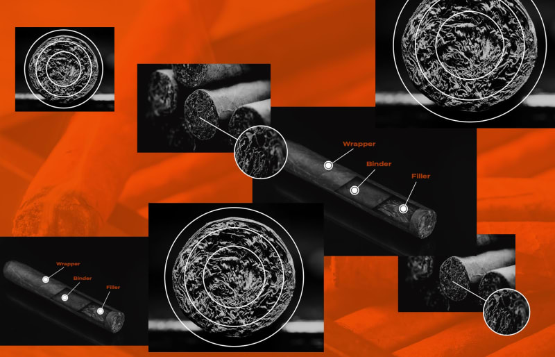 anatomy of a cigar