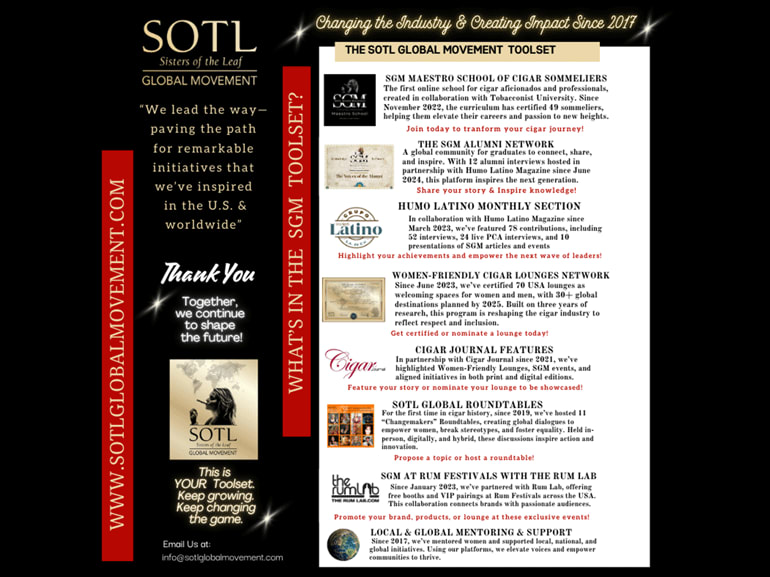 The SOTL Global Movement Toolset Image
