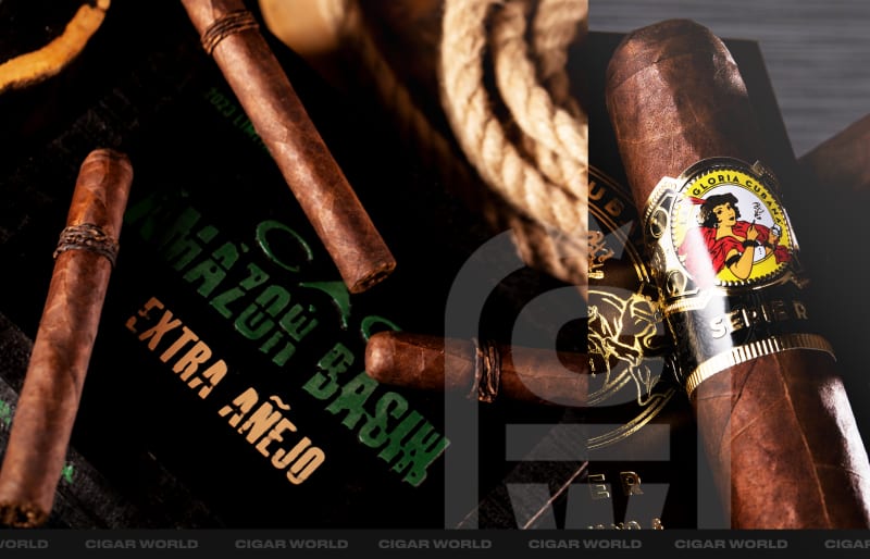 best 7 cigars