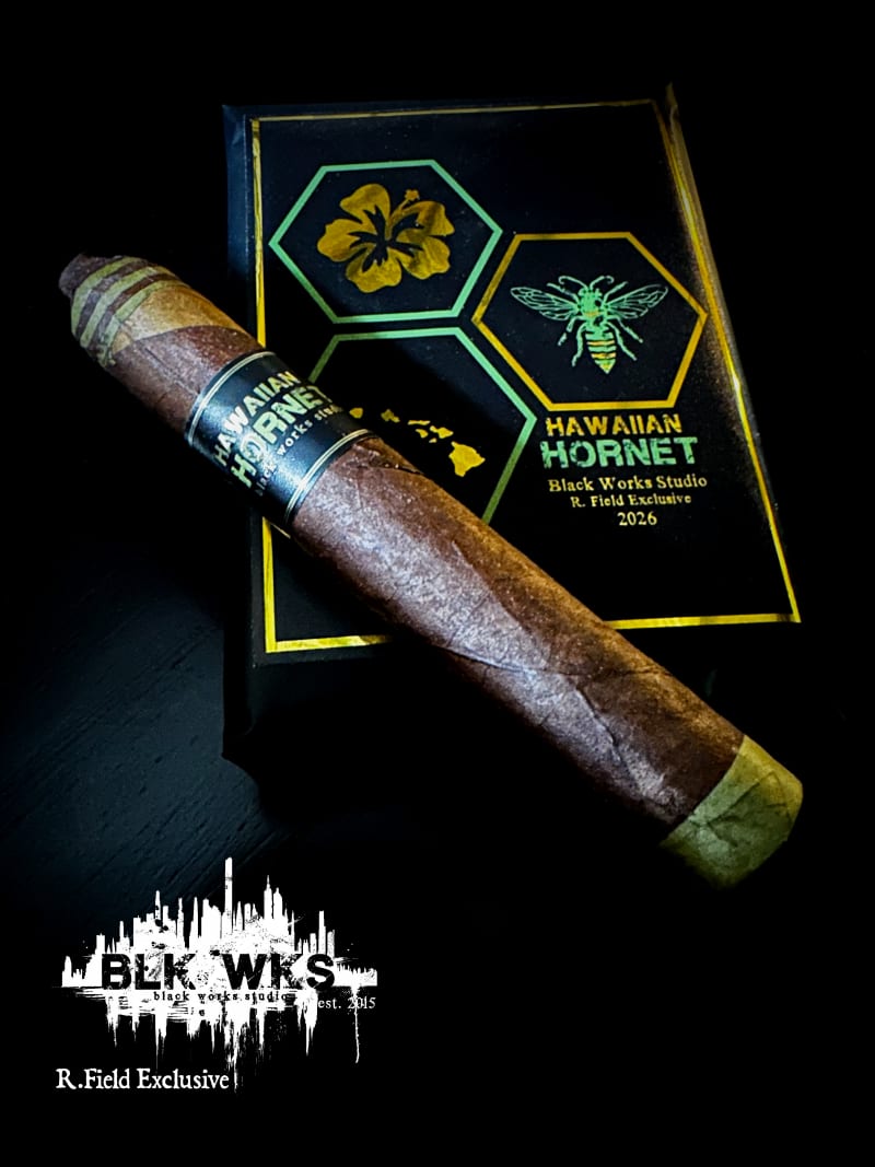 Hawaii Hornet PR Pic