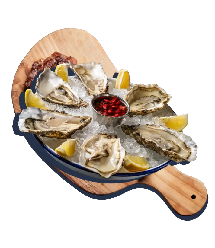Raw Oysters Photo