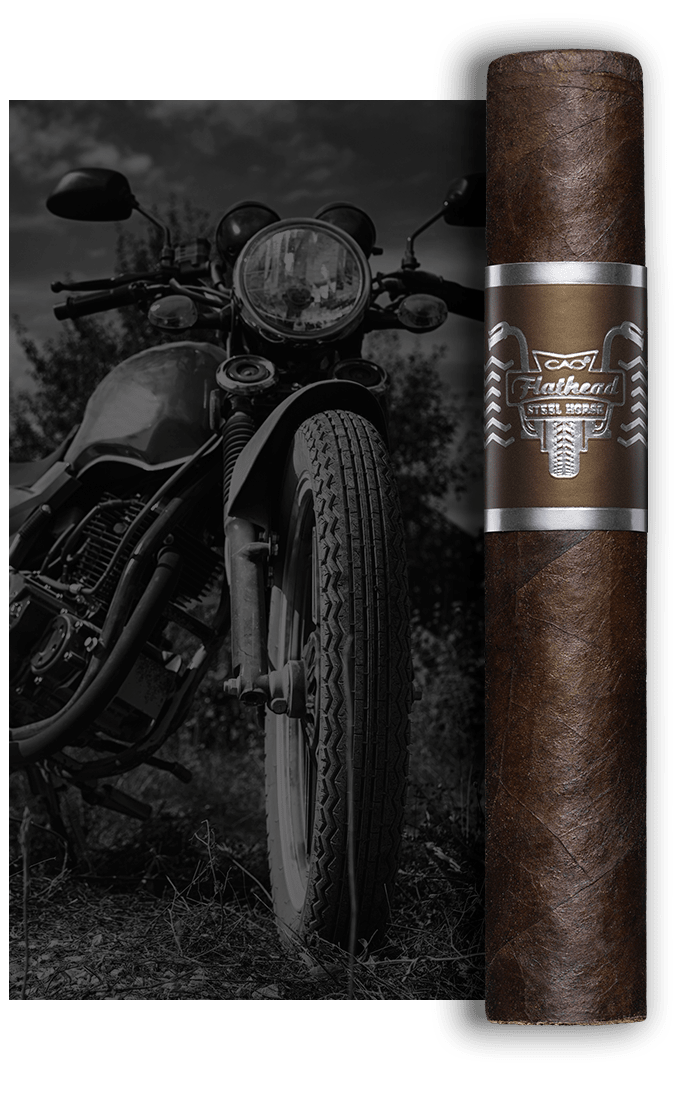 CAO Steel Horse Stick Image