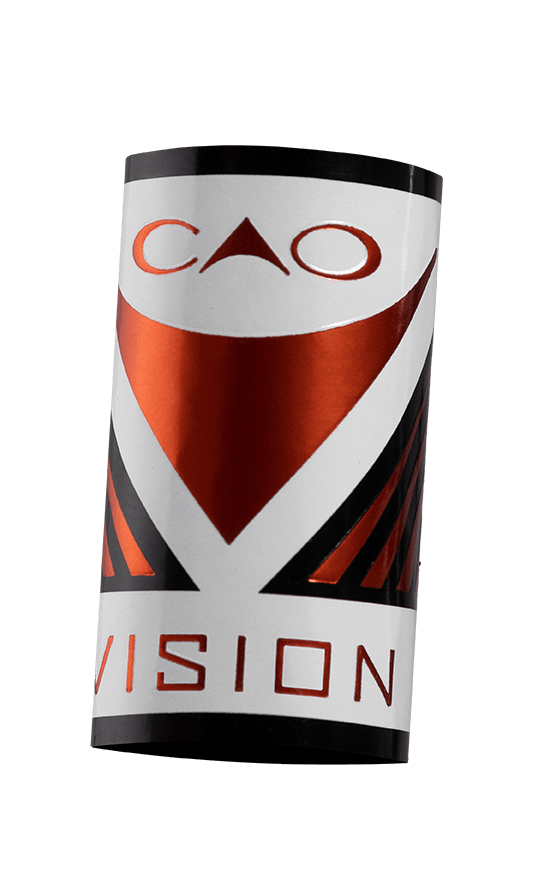 Vision 2022 Band