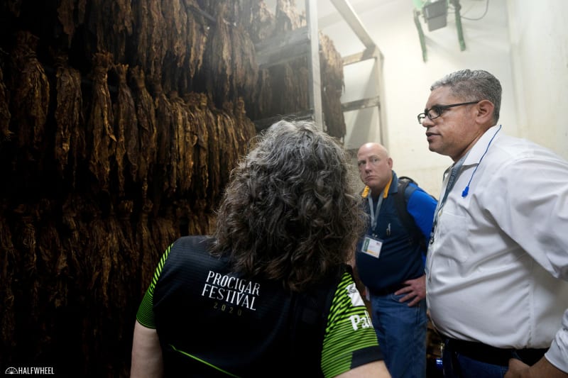 Procigar 2020: Day 2 Image